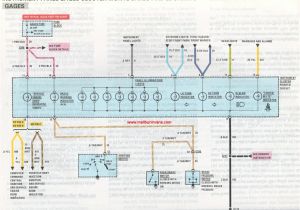 1981 El Camino Wiring Diagram Dolphin Wiring Diagrams Wiring Diagram Centre