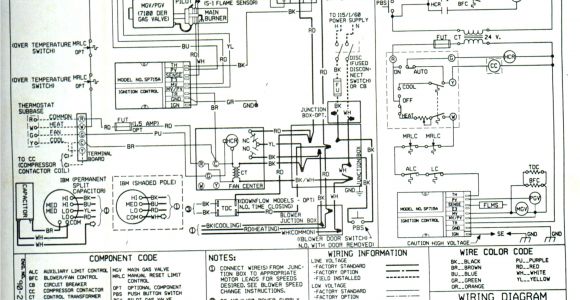 1981 toyota Pickup Wiring Diagram 150cc Wiring Diagrams Free Download Wiring Diagram Schematic