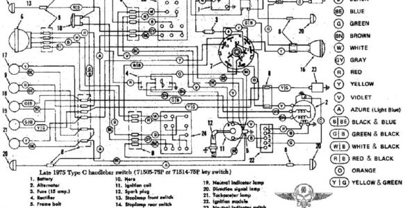 1982 Sportster Wiring Diagram 1981 Sportster Wiring Diagram Wiring Diagram