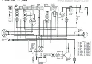 1984 Honda Nighthawk 650 Wiring Diagram Honda Nighthawk 250 Wiring Diagram Wiring Diagram for You