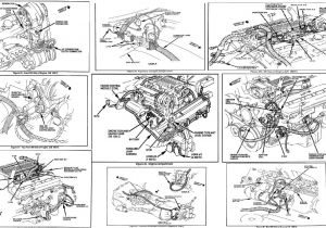1985 Camaro Wiring Diagram 1985 Camaro Wiring Diagram Wiring Diagrams 1985 Camaro Wiring Diagram 1985 Camaro Wiring Diagram Wiring Diagrams