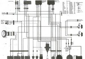1985 Honda Fourtrax 250 Wiring Diagram 04 Honda 250 Ignition Wiring Wiring Diagram Datasource