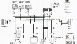 1985 Honda Fourtrax 250 Wiring Diagram Honda Trx250r Wiring Diagram Wiring Diagrams