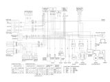 1985 Honda Fourtrax 250 Wiring Diagram Trx300 Wiring Diagram Wiring Diagram Info