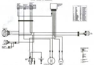 1986 Honda Trx 70 Wiring Diagram atc Wiring Diagrams Tuli Ulakan Kultur Im Revier De
