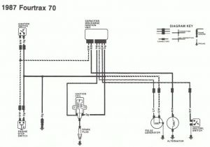 1986 Honda Trx 70 Wiring Diagram atc Wiring Diagrams Tuli Ulakan Kultur Im Revier De