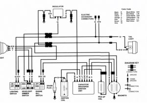 1986 Honda Trx 70 Wiring Diagram Miqueas Nugas Miqueasnugas On Pinterest