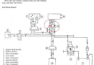 1986 Kawasaki Vulcan 750 Wiring Diagram Kawasaki Vulcan Wiring Diagram Wiring Diagram 1986 Kawasaki Vulcan 750 Wiring Diagram Kawasaki Vulcan Wiring Diagram Wiring Diagram