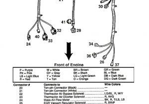 1987 Mustang Wiring Diagram 91 Mustang Wiring Diagram Wiring Diagrams