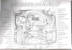 1989 Mustang Wiring Diagram ford 5 0 Efi Wiring Harness Wiring Diagram Completed 1989 Mustang Wiring Diagram ford 5 0 Efi Wiring Harness Wiring Diagram Completed