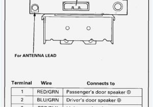 1991 Honda Accord Radio Wiring Diagram 1994 Honda Accord Wiring Diagram Wiring Diagram Schematic