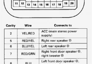 1991 Honda Accord Radio Wiring Diagram 94 Honda Accord Wiring Blog Wiring Diagram