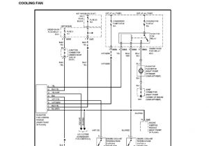 1992 Honda Prelude Wiring Diagram De 9183 Honda H23a1 Engine Diagram Get Free Image About 1992 Honda Prelude Wiring Diagram De 9183 Honda H23a1 Engine Diagram Get Free Image About