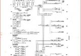 1993 Dodge Dakota Fuel Pump Wiring Diagram D150 Wiring Diagram Daawanet Net