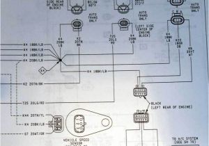 1993 Dodge Ram Wiring Diagram Tranny Wiring Dodge Cummins Diesel forum