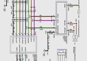 1993 ford F150 Radio Wiring Diagram 1998 ford F 150 Radio Wiring Harness Wiring Diagram Center