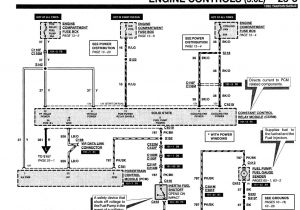 1993 ford Ranger Fuel Pump Wiring Diagram 93 Taurus Fuel Pump Wiring Diagram Schema Wiring Diagram 1993 ford Ranger Fuel Pump Wiring Diagram 93 Taurus Fuel Pump Wiring Diagram Schema Wiring Diagram