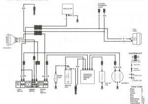 1993 Kawasaki Bayou 300 4×4 Wiring Diagram Kfx 80 Wiring Diagram Wiring Diagram