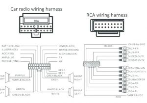 1993 Mustang Audio Wiring Diagram Dual Car Audio Wiring Harness Diagram Xd5125 Wiring Diagram Blog