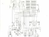 1993 Polaris Indy 500 Efi Wiring Diagram 1993 Arctic Wildcat Wiring Diagram Wiring Diagrams Terms