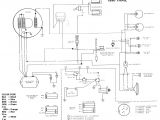 1993 Polaris Indy 500 Efi Wiring Diagram Wiring Diagram for 1991 Polaris Rxl Wiring Diagrams Favorites