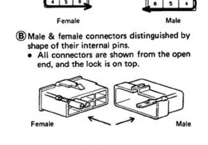 1993 toyota Pickup Fuel Pump Wiring Diagram How to Megasquirt Your toyota 22re Diyautotune Com