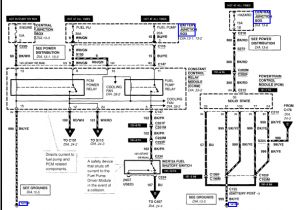 1994 ford Escort Radio Wiring Diagram 2001 Zx2 Wiring Diagram Wiring Diagrams Show