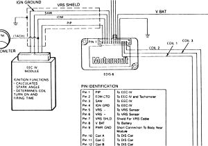 1994 ford Ranger Ignition Wiring Diagram 1994 ford Ranger Ignition Wiring Diagram 1994 ford Ranger Ignition Wiring Diagram 1994 ford Ranger Ignition Wiring Diagram