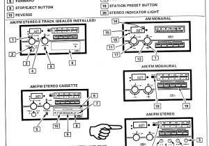 1995 Camaro Radio Wiring Diagram 1983 Camaro Radio Wiring Diagram Wiring Diagram Review 1995 Camaro Radio Wiring Diagram 1983 Camaro Radio Wiring Diagram Wiring Diagram Review