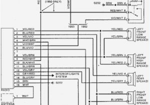 1995 Dodge Dakota Radio Wiring Diagram 1999 Dodge Dakota Wiring Diagram Wiring Diagram Img