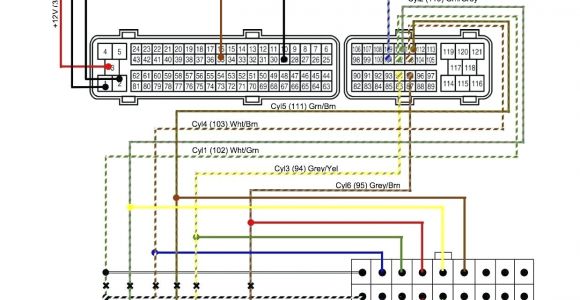 1995 Dodge Dakota Radio Wiring Diagram 95 Dodge Dakota Wiring Harness Diagram Database Reg