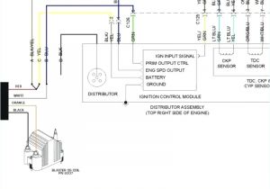 1995 Honda Accord Stereo Wiring Diagram 95 Honda Accord Wiring Diagram Wiring Diagram Paper