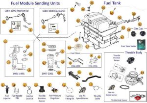 1995 Jeep Grand Cherokee Fuel Pump Wiring Diagram Fuel System Parts for Cherokee Xj Morris 4×4