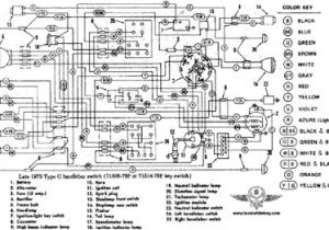 1995 Sportster Wiring Diagram Harley Davidson Wiring Diagram Free