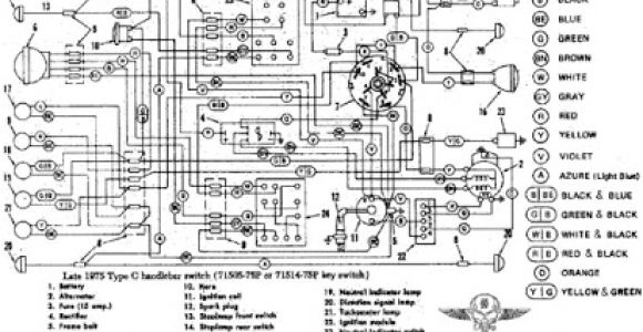 1995 Sportster Wiring Diagram Harley Davidson Wiring Diagram Free