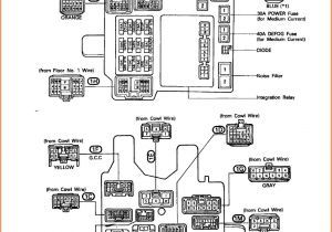 1995 toyota Avalon Stereo Wiring Diagram 1995 toyota Avalon Radio Wiring Diagram Free Wiring Diagram