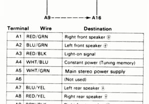 1996 Honda Accord Radio Wiring Diagram 1993 Honda Accord Speaker Wiring Electrical Schematic Wiring Diagram