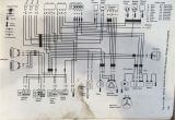 1996 Honda Fourtrax 300 Wiring Diagram Honda Fourtrax Wiring Diagram Manual E Book
