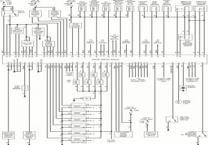 1996 Nissan Maxima Stereo Wiring Diagram 1996 Nissan Altima Wiring Diagram Database Wiring