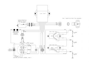 1996 Seadoo Xp Wiring Diagram 1994 Cougar Wiring Diagram Kuiyt Fuse8 Klictravel Nl