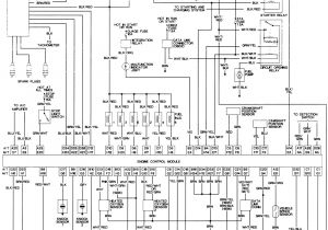 1996 toyota 4runner Wiring Diagram toyota Tacoma Wiring Schematic Wiring Diagram
