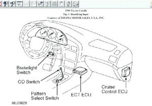 1996 toyota Corolla Wiring Diagram toyota Tercel Wiring Diagram Rajasthangovtjobs Com