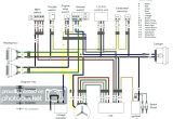 1996 Yamaha Warrior 350 Wiring Diagram Warrior Wiring Diagram Wiring Diagram