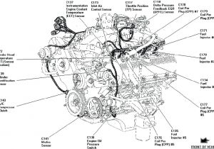 1997 ford F150 Spark Plug Wiring Diagram Diagram Moreover ford F 150 Coil Pack Diagram On Chevy Distributor 1997 ford F150 Spark Plug Wiring Diagram Diagram Moreover ford F 150 Coil Pack Diagram On Chevy Distributor