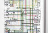 1997 Honda Cbr 600 F3 Wiring Diagram Looking for Wiring Diagram for My F3 R R and Stator Cbr