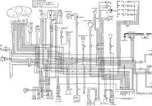 1997 Honda Cbr 600 F3 Wiring Diagram Turn Signal Relay Honda Cbr 600 1997 2000 Kappa Motorbikes