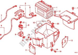 1997 Honda Cbr 600 F3 Wiring Diagram Wire Harness Battery for Honda Cbr 600 F3 Super Sport 1997