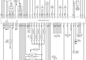 1997 Nissan Maxima Wiring Diagram 95 Nissan Wiring Diagram Wiring Diagram Page