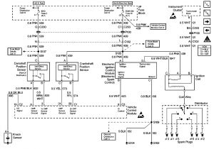 1997 S10 Wiring Diagram 4 3 Vortec Plug Wire Diagram Schema Diagram Database