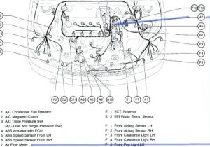 1997 toyota Camry Wiring Diagram 1997 toyota Corolla Engine Diagram Wiring Diagram Paper 1997 toyota Camry Wiring Diagram 1997 toyota Corolla Engine Diagram Wiring Diagram Paper